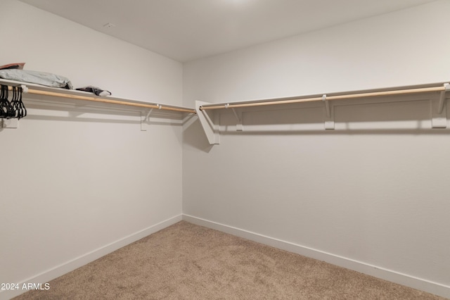 16848 W Alice Ave, Waddell, AZ 85355 - walk in closet with light carpet