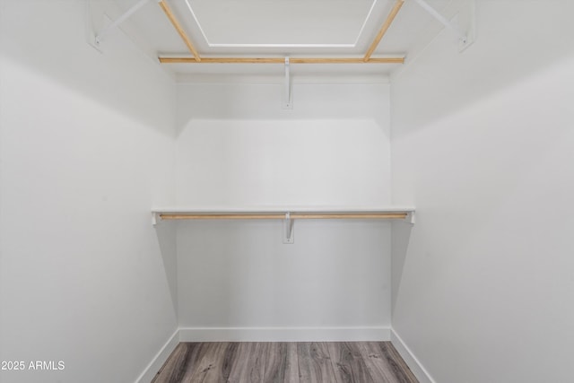 spacious closet featuring wood finished floors