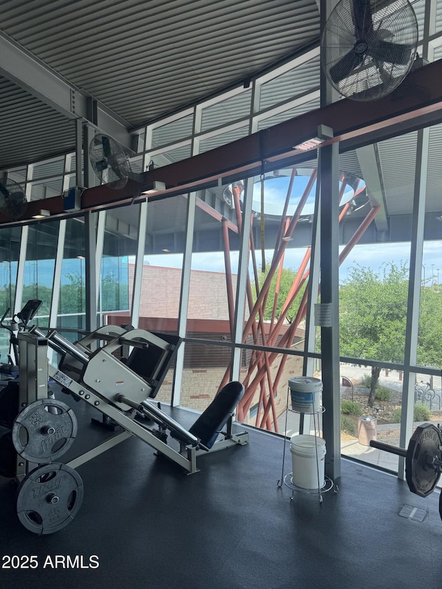 12512 N 85th Ave, Peoria, AZ 85381 - gym with expansive windows