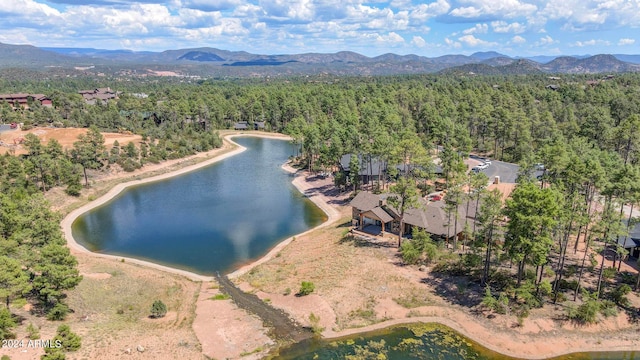 birds eye view of property with a water and mountain view