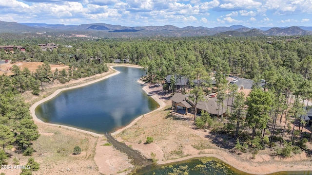 1804 E Senna Pt, Payson, AZ 85541 - aerial view with a wooded view and a water and mountain view