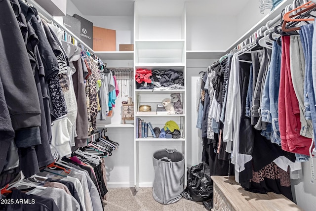 walk in closet with carpet flooring