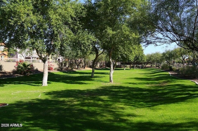 view of home's community with a yard