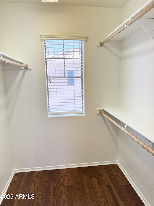 2539 N 148th Dr, Goodyear, AZ 85395 - spacious closet with dark wood finished floors