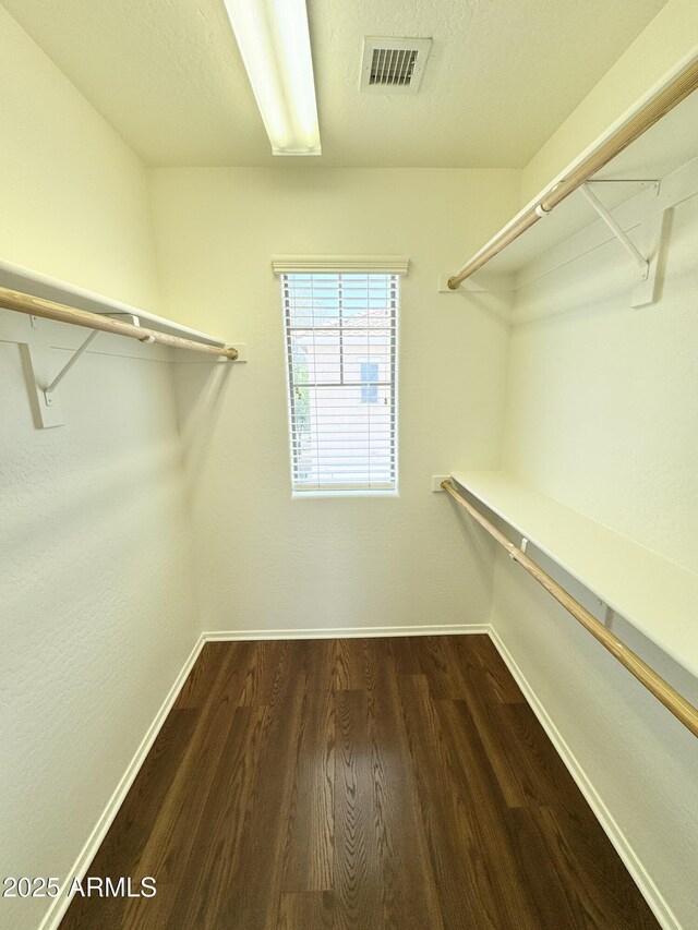 2539 N 148th Dr, Goodyear, AZ 85395 - spacious closet featuring dark wood-style flooring