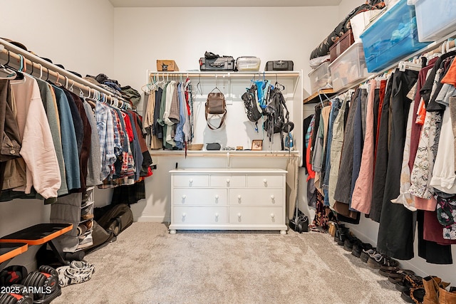 walk in closet featuring light colored carpet