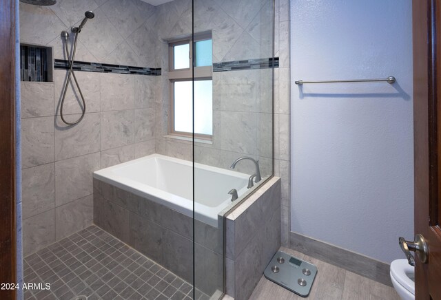 bathroom with toilet and separate shower and tub