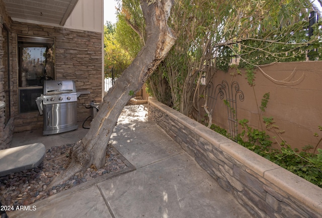 view of patio / terrace with a grill