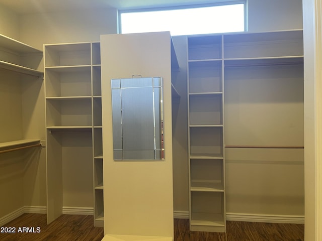 walk in closet featuring dark hardwood / wood-style flooring