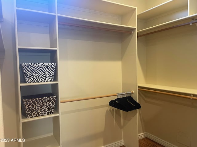 walk in closet featuring dark hardwood / wood-style flooring