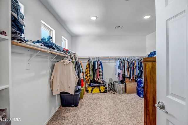 33275 N 132nd Ave, Peoria, AZ 85383 - spacious closet featuring visible vents and carpet flooring