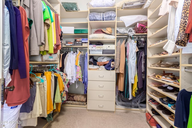 spacious closet featuring light carpet