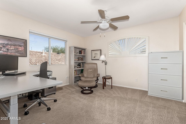 carpeted office featuring ceiling fan