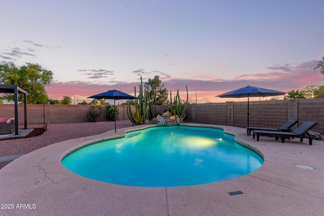 4049 E Arbor Ave, Mesa, AZ 85206 - view of pool featuring a fenced backyard and a patio