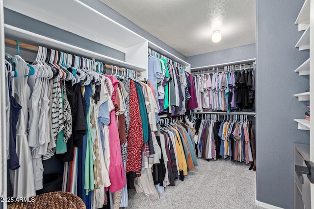 4049 E Arbor Ave, Mesa, AZ 85206 - spacious closet featuring carpet floors