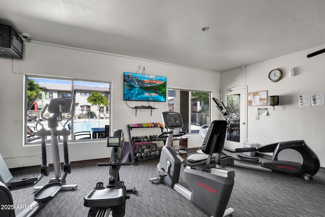 workout area featuring carpet flooring