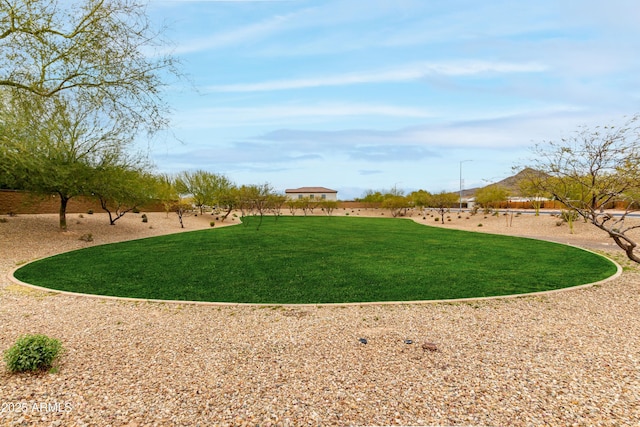 view of property's community with a yard