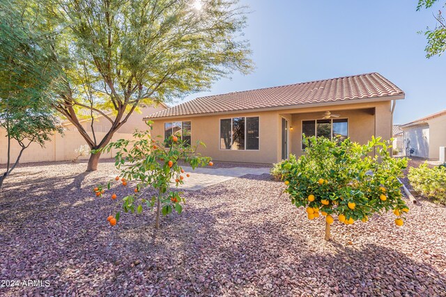 view of front facade featuring ceiling fan and a patio