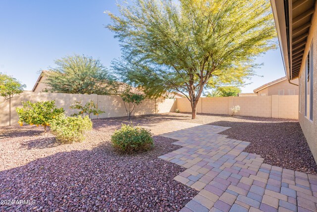 view of yard featuring a patio area