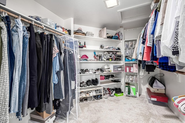 15027 N 61st Pl, Scottsdale, AZ 85254 - walk in closet with carpet flooring and attic access