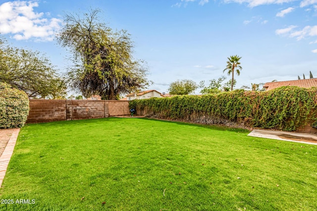 15027 N 61st Pl, Scottsdale, AZ 85254 - view of yard featuring a fenced backyard
