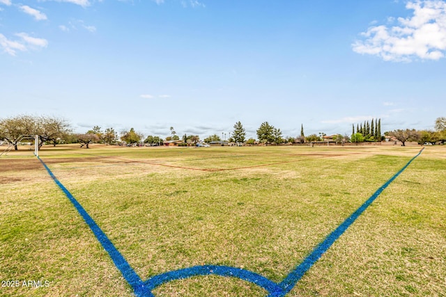 15027 N 61st Pl, Scottsdale, AZ 85254 - view of yard