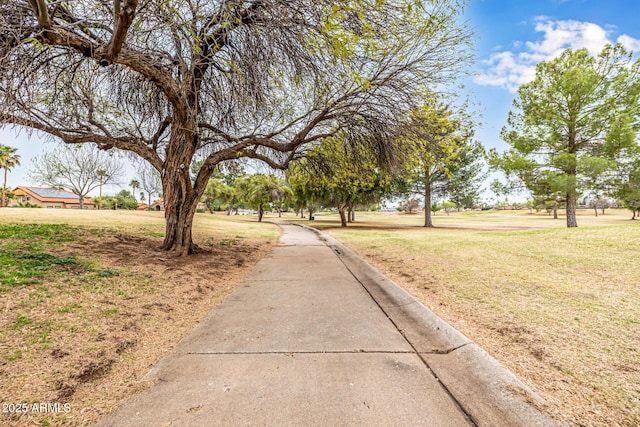 15027 N 61st Pl, Scottsdale, AZ 85254 - view of road