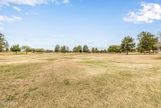 15027 N 61st Pl, Scottsdale, AZ 85254 - view of yard