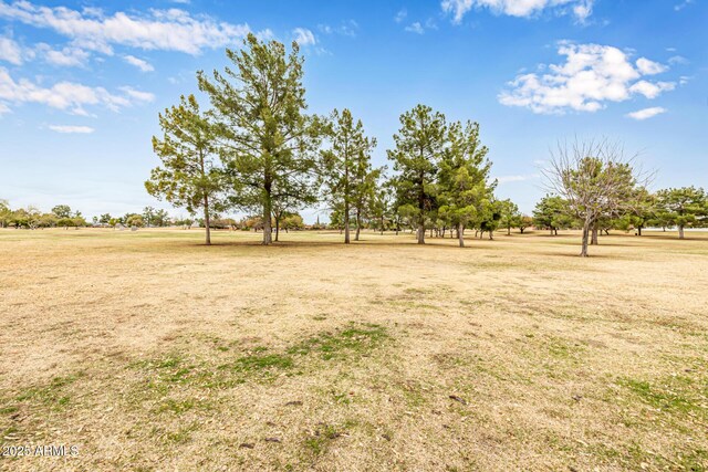 15027 N 61st Pl, Scottsdale, AZ 85254 - view of yard