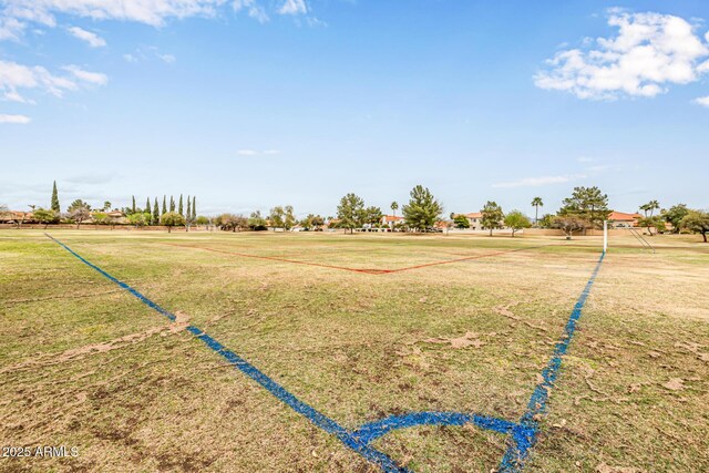 15027 N 61st Pl, Scottsdale, AZ 85254 - view of yard