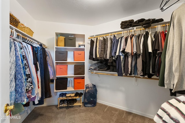 walk in closet featuring carpet flooring