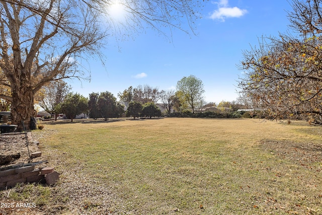 view of yard