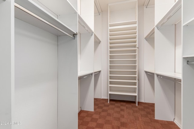 12832 W Pinnacle Vista Dr, Peoria, AZ 85383 - walk in closet with dark flooring
