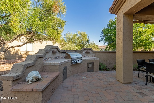 view of patio / terrace with area for grilling and grilling area