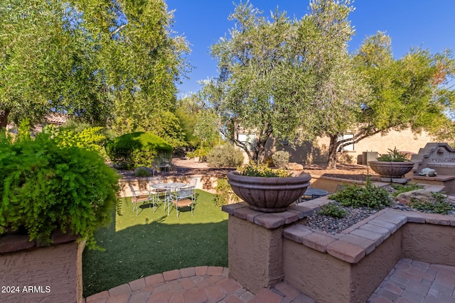 view of yard featuring a patio