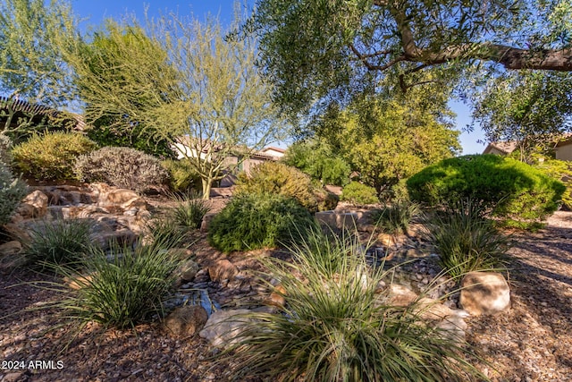 12832 W Pinnacle Vista Dr, Peoria, AZ 85383 - view of yard