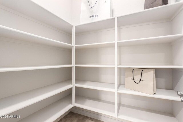 9747 S 182nd Dr, Goodyear, AZ 85338 - view of storage area