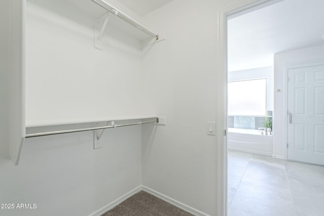 view of spacious closet