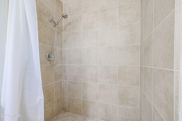 bathroom featuring a shower with curtain