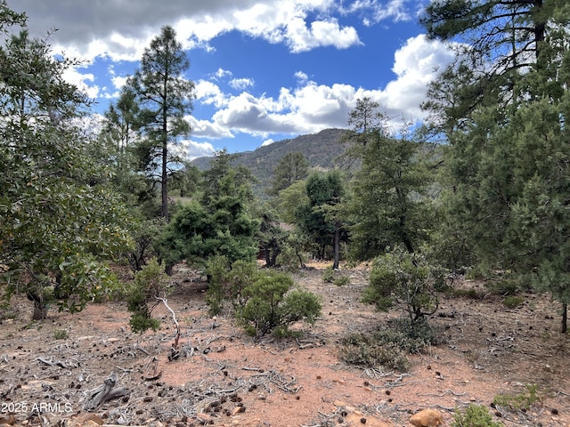 108 W Ruin Hill Loop Unit 108, Pine AZ, 85544 land for sale