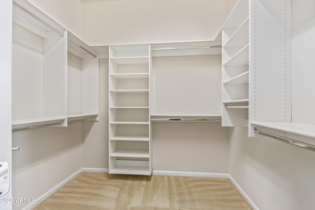 spacious closet featuring light carpet