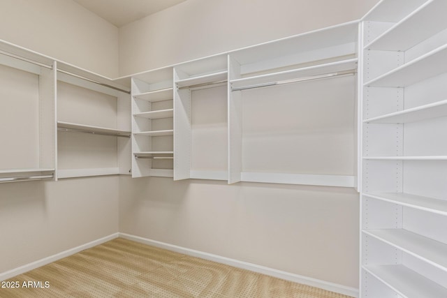 walk in closet featuring light colored carpet