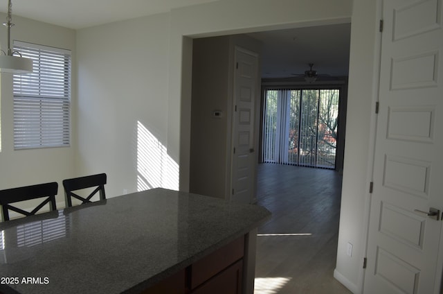 kitchen featuring hanging light fixtures, ceiling fan, and dark wood finished floors