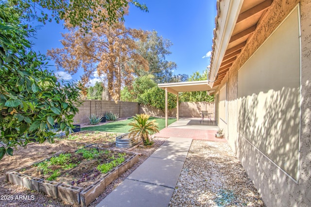 view of yard featuring a vegetable garden, a patio, and a fenced backyard