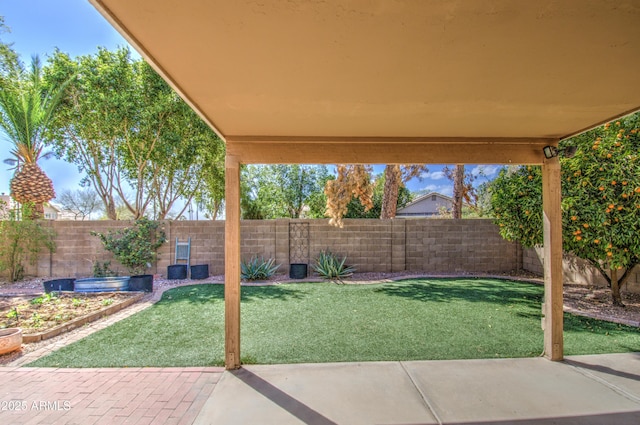 view of yard featuring a patio area, a fenced backyard, and a vegetable garden