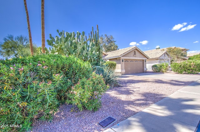 obstructed view of property featuring stucco siding, a garage, and driveway