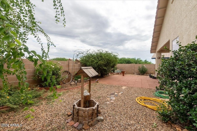 view of yard featuring a patio area