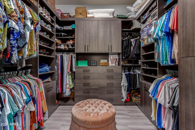 spacious closet featuring light hardwood / wood-style flooring