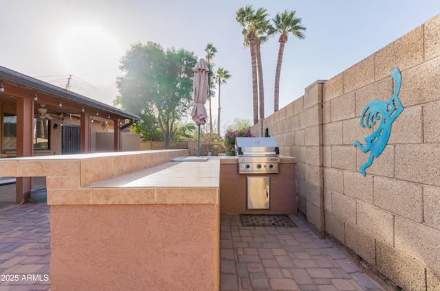 view of patio / terrace with an outdoor kitchen, a grill, and a fenced backyard