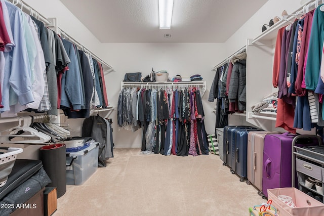 spacious closet with carpet floors